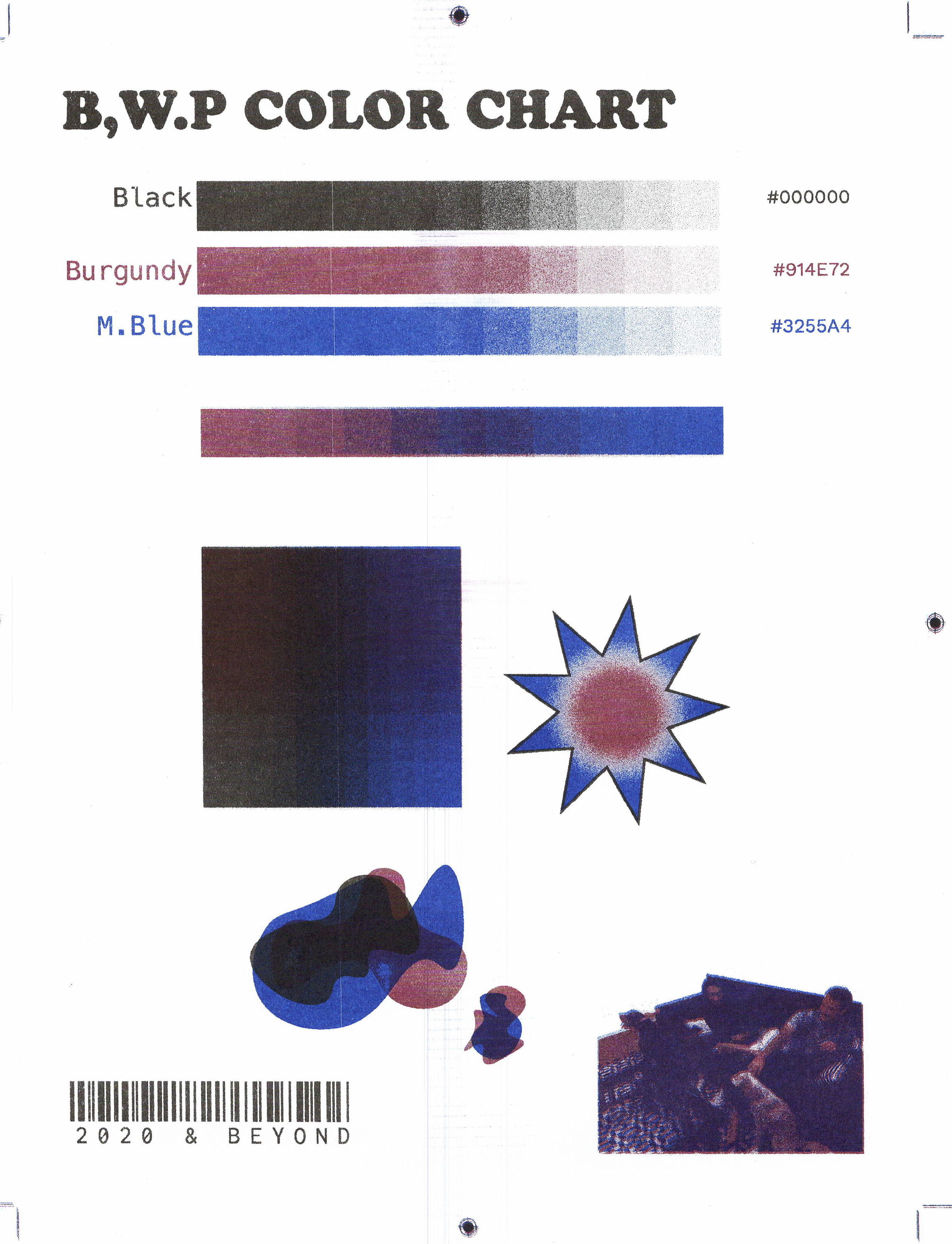 BWP Color Chart
